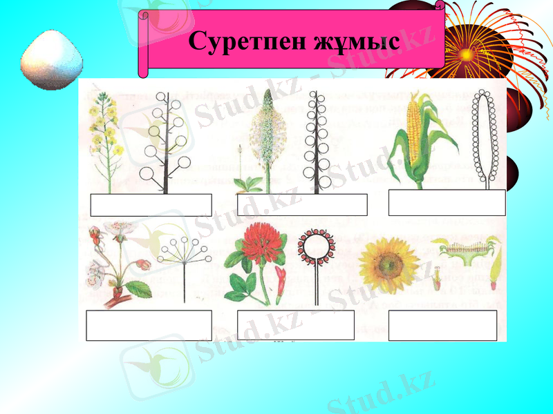 Slide 9