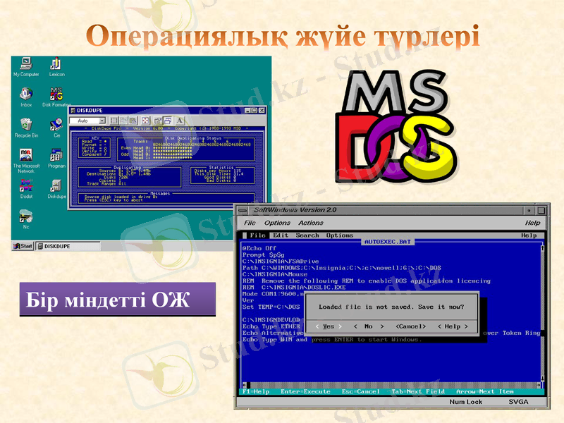 Slide 11