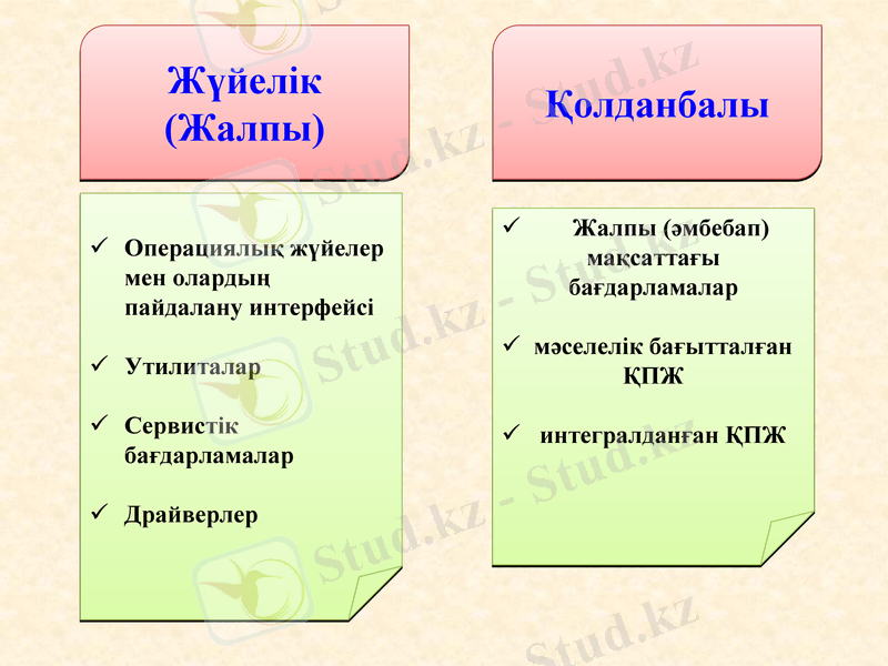 Slide 6