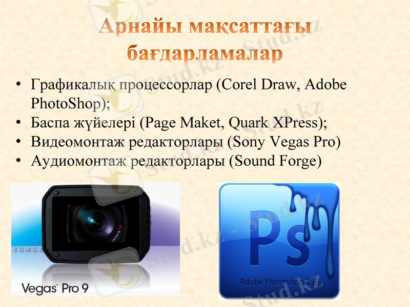 Slide 8