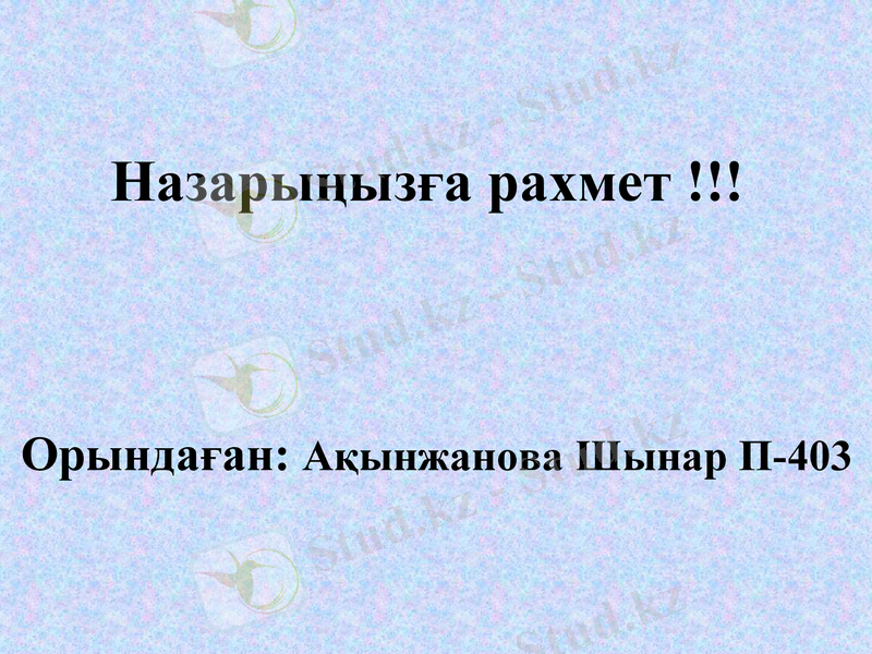 Slide 11