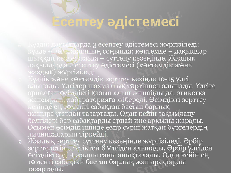 Slide 10