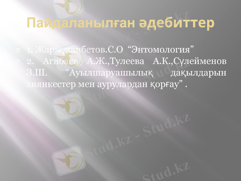 Slide 12