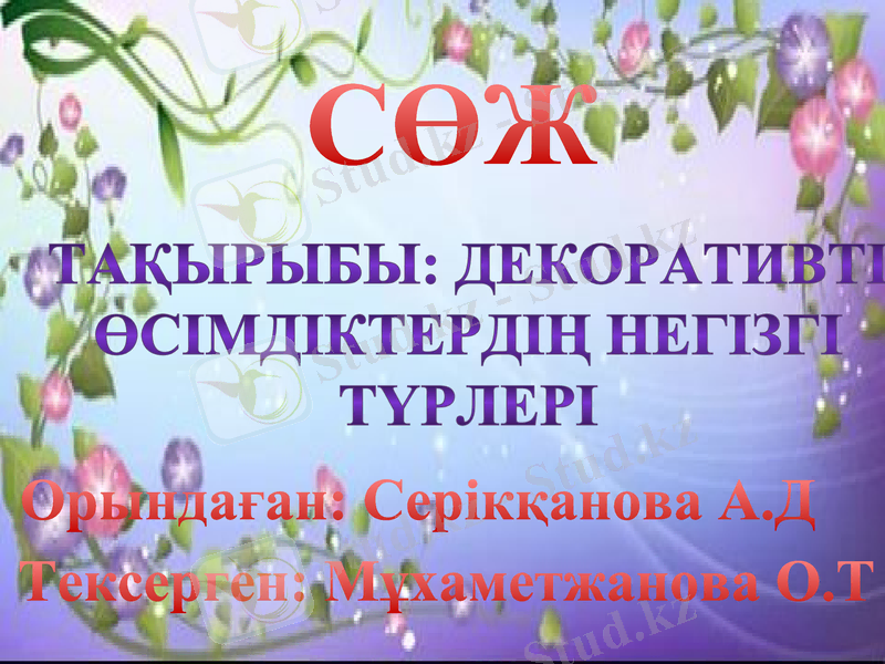 Slide 1