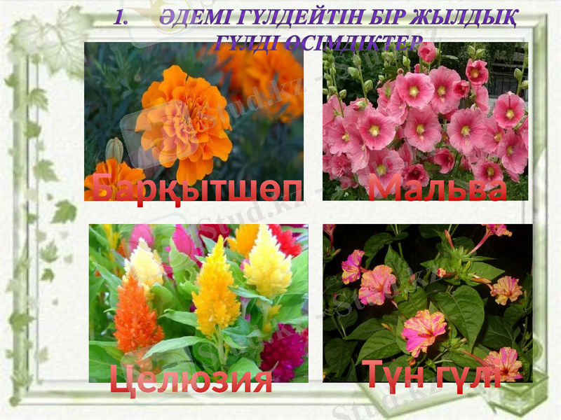 Slide 4