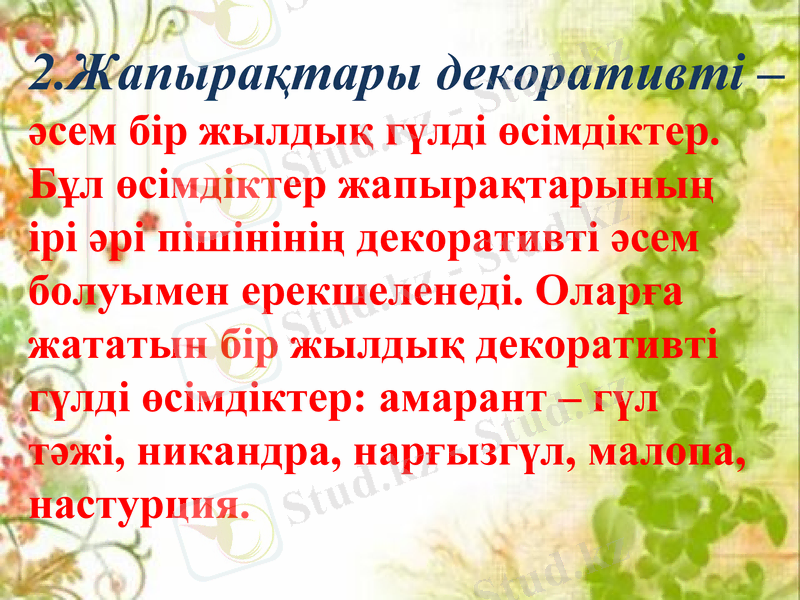 Slide 5