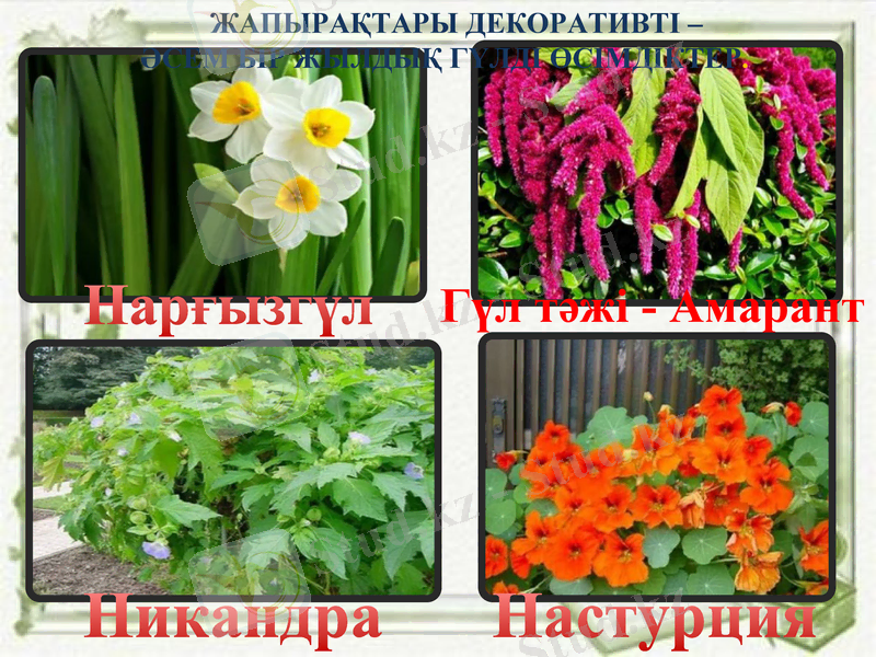 Slide 6