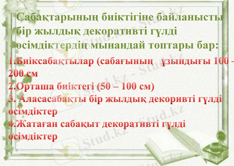 Slide 7
