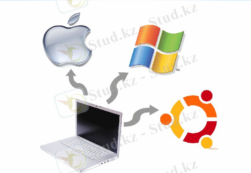Slide 10