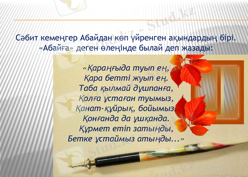 Slide 8