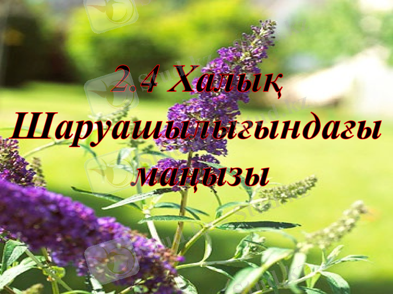 Slide 12