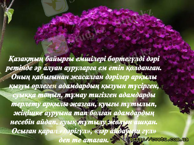 Slide 13