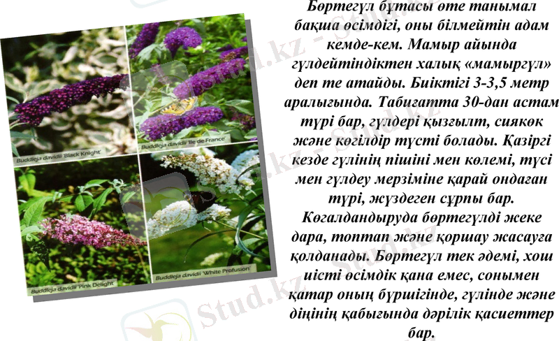 Slide 7