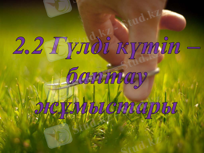 Slide 8