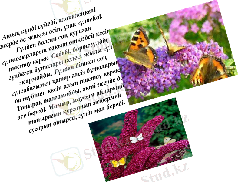 Slide 9