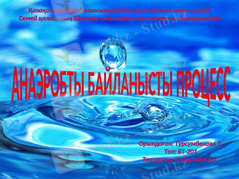 Slide 1