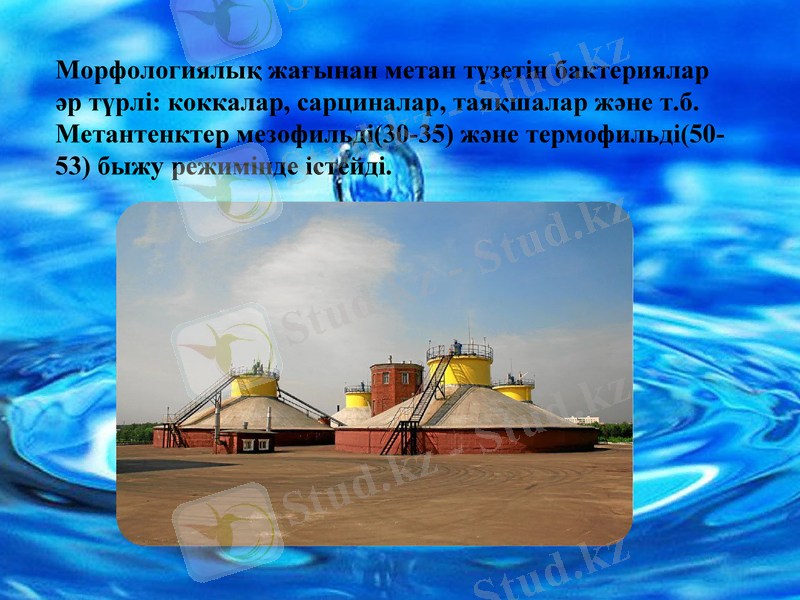 Slide 10