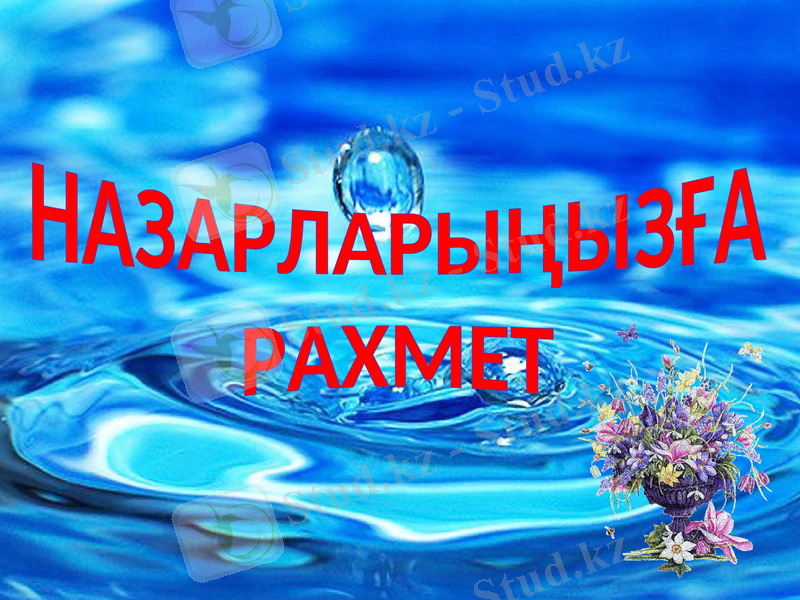 Slide 11