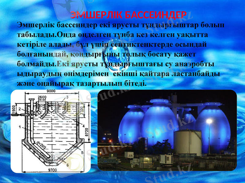 Slide 7