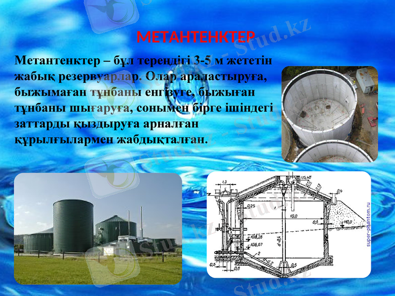 Slide 8