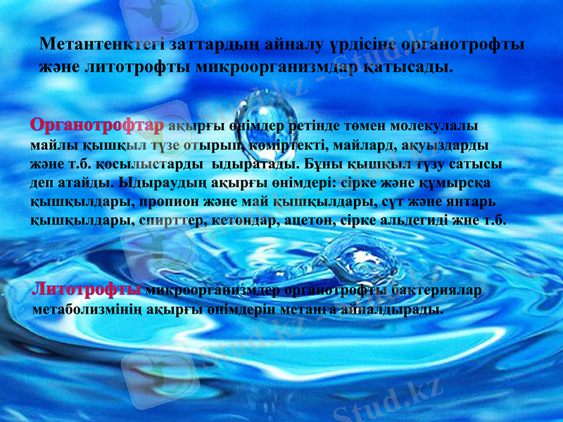 Slide 9