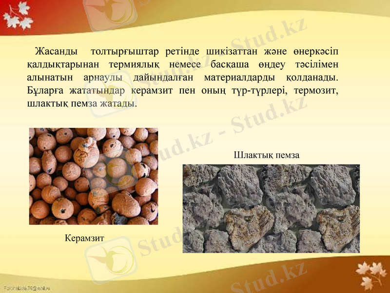 Slide 6