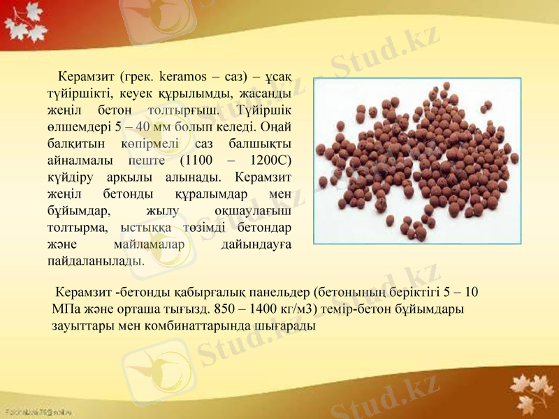 Slide 7