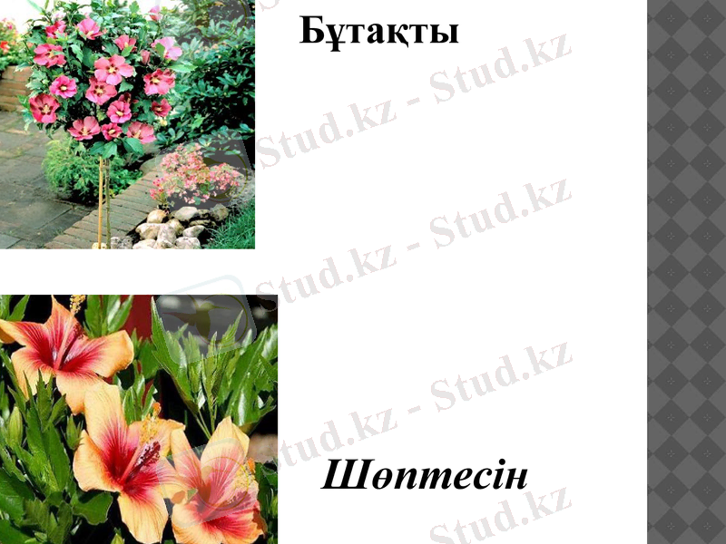Slide 10
