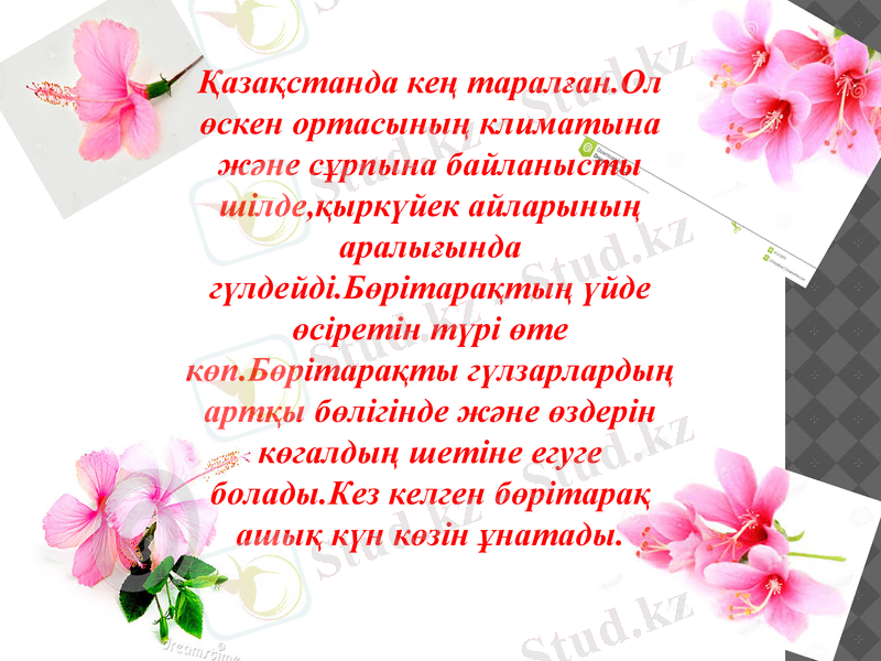 Slide 11