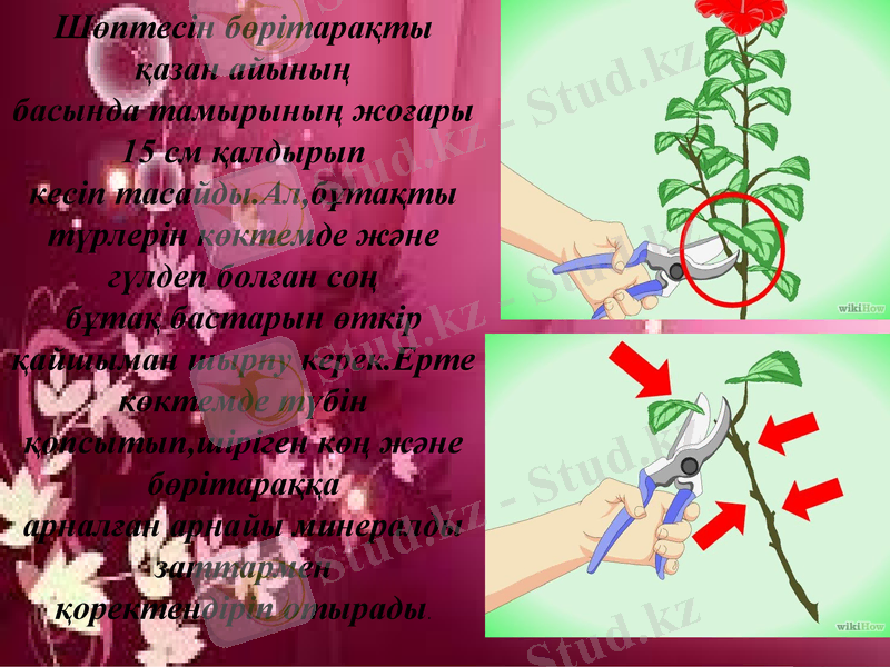 Slide 12