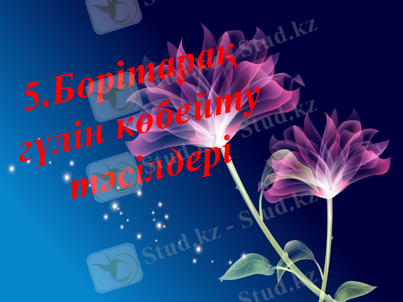Slide 13