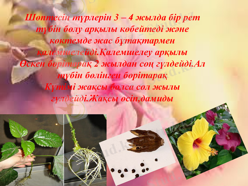 Slide 14