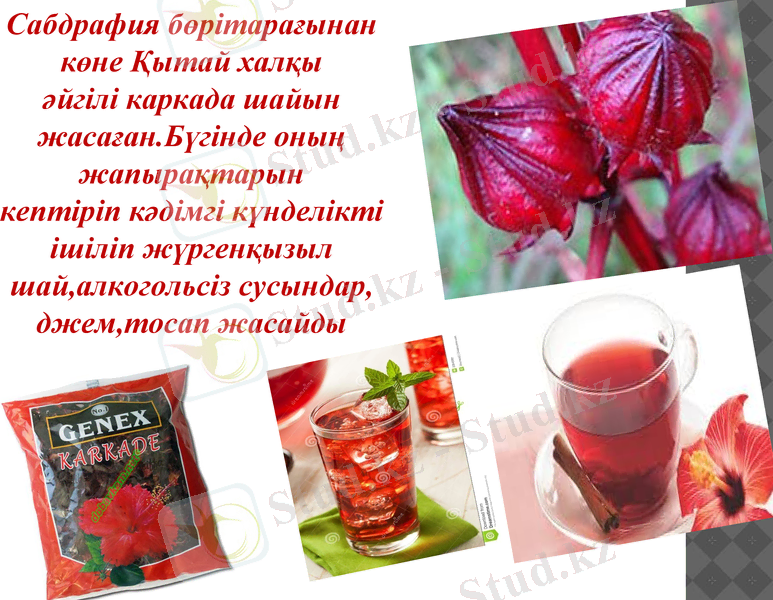 Slide 8
