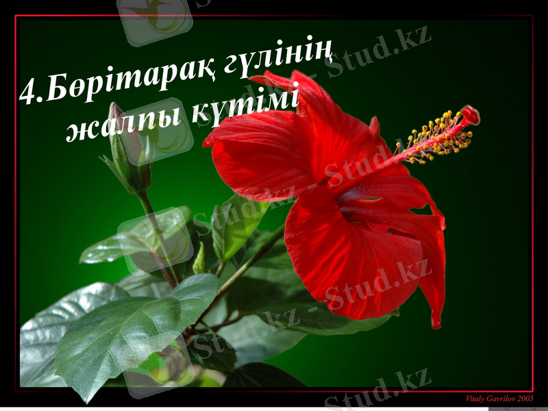 Slide 9