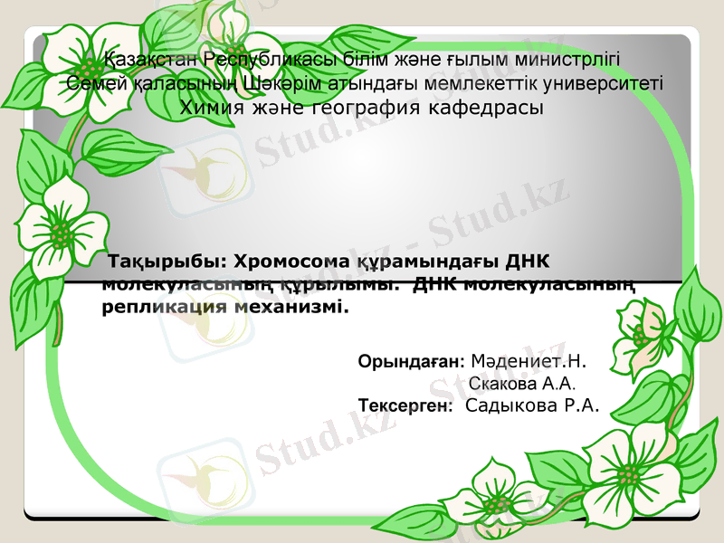 Slide 1