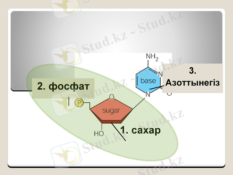 Slide 10