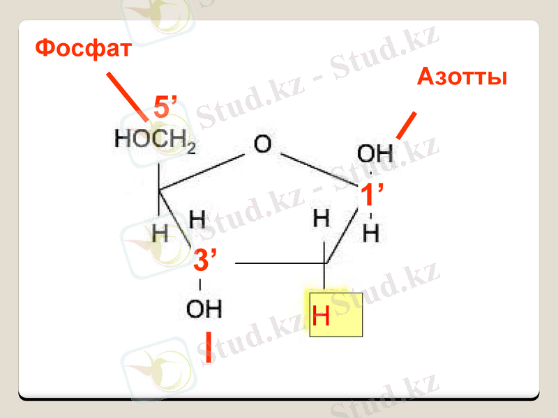 Slide 11