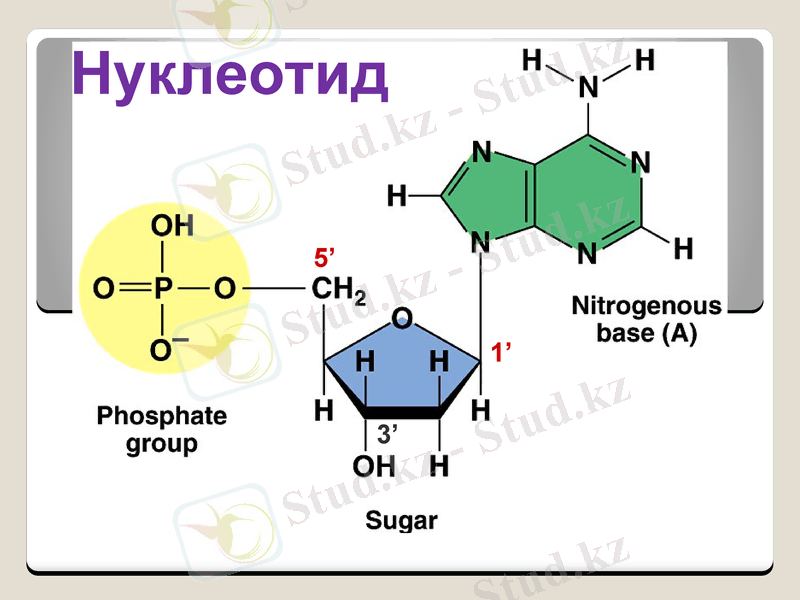Slide 12