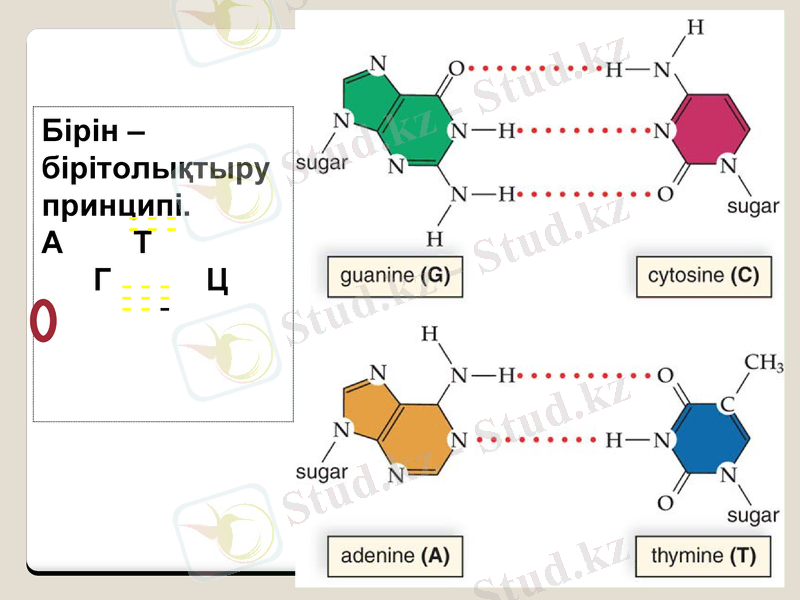 Slide 15