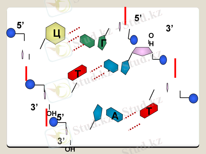 Slide 16