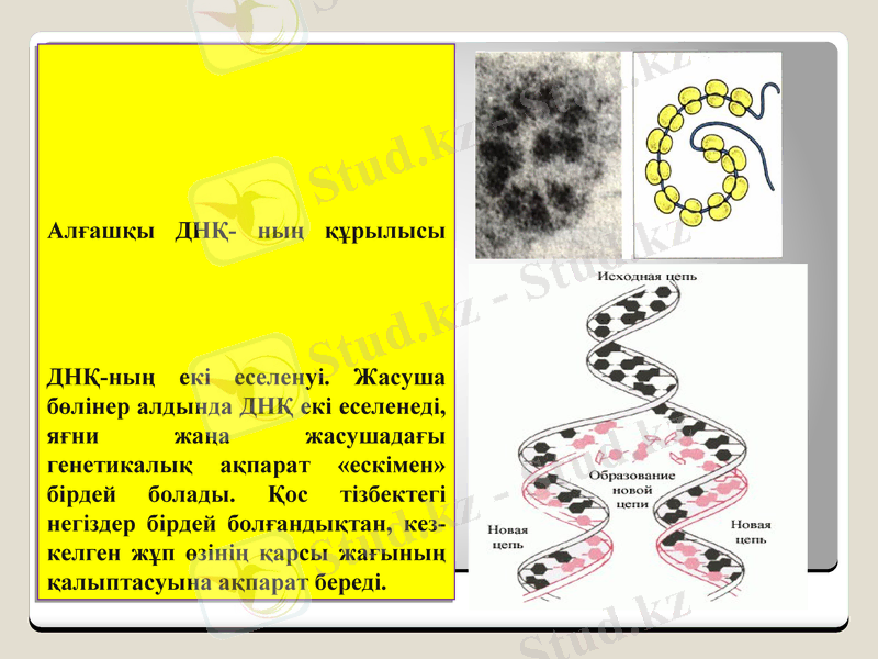 Slide 17
