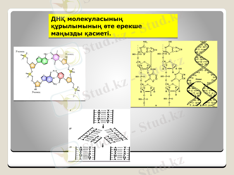 Slide 19
