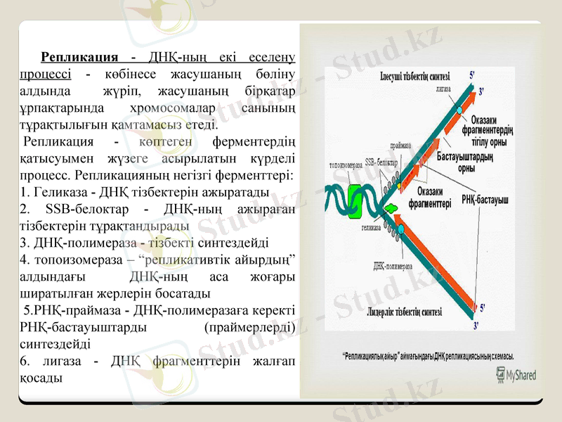 Slide 20
