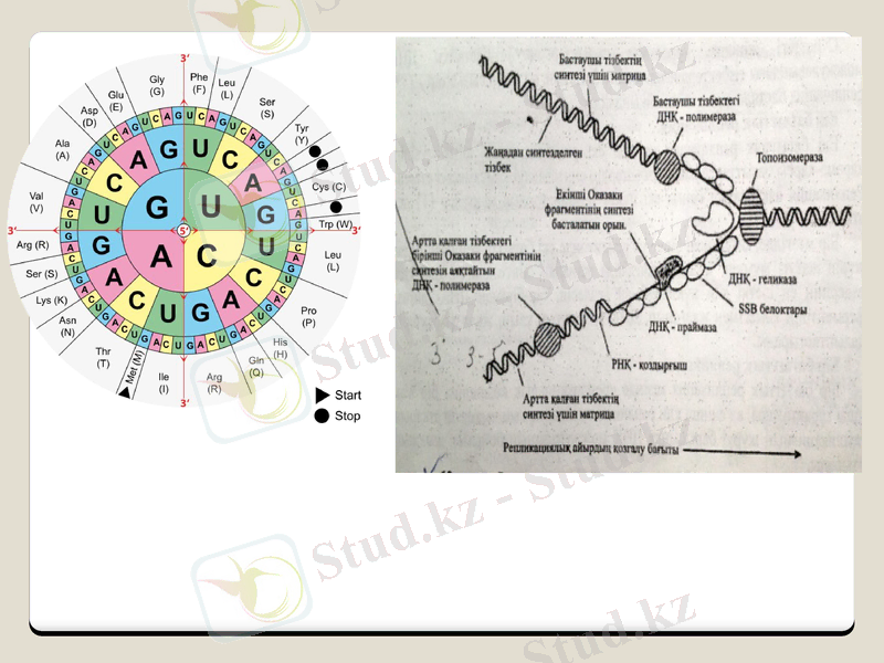 Slide 22