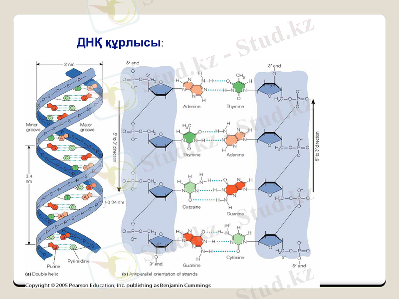 Slide 8