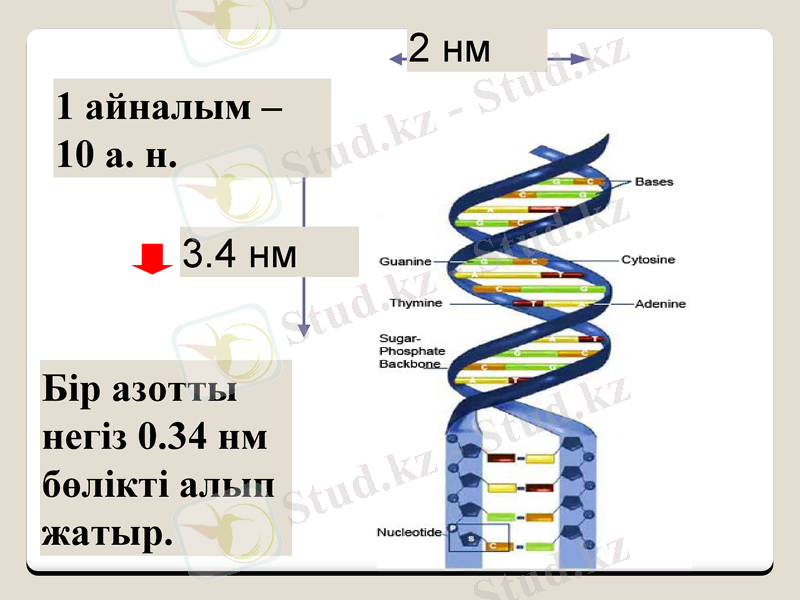 Slide 9