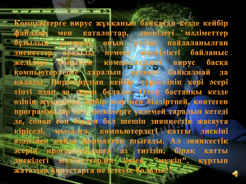 Slide 6