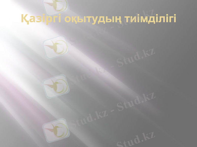 Slide 13