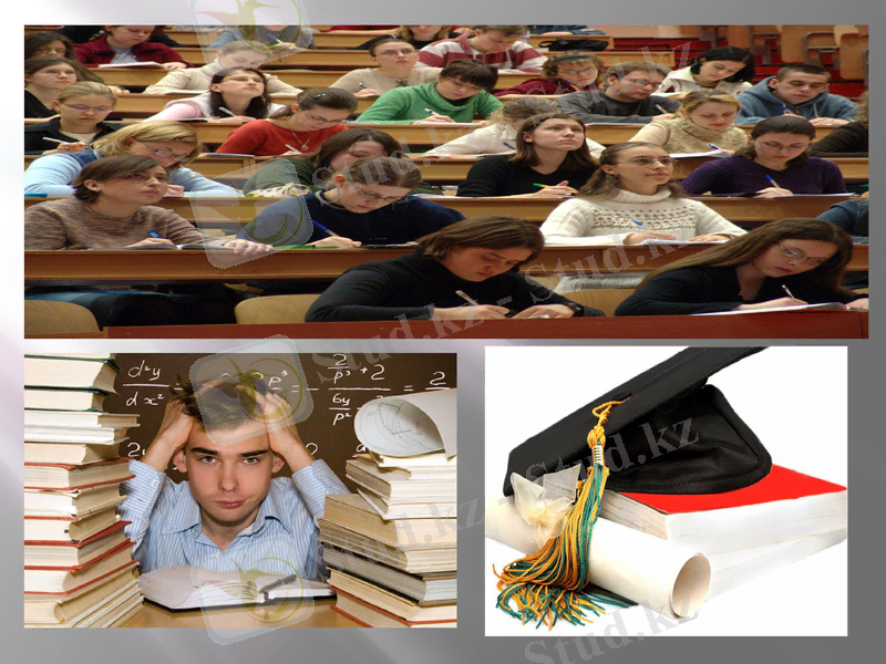 Slide 6