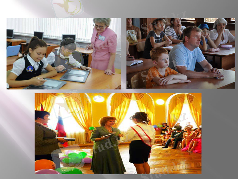 Slide 8